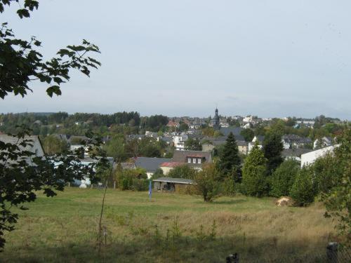 Gasthof Napoleon Selbitz Extérieur photo
